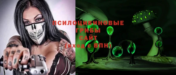 индика Верхний Тагил