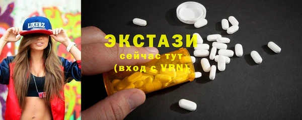 индика Верхний Тагил