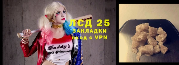 индика Верхний Тагил