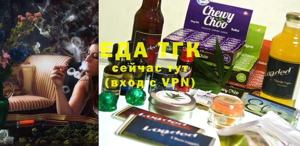 индика Верхний Тагил