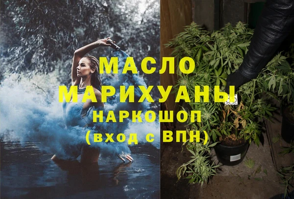 индика Верхний Тагил