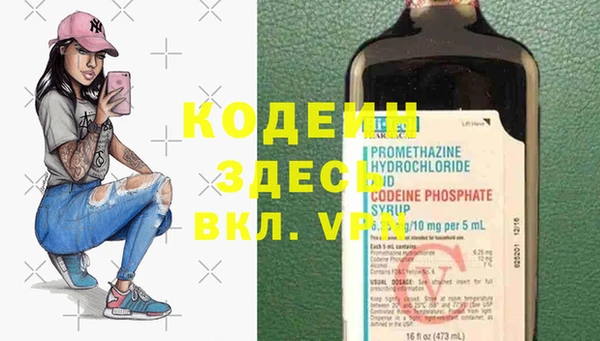индика Верхний Тагил