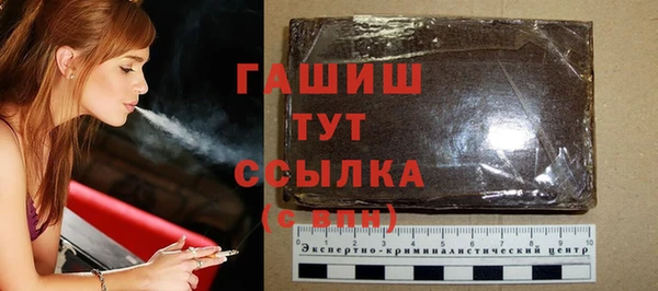 ECSTASY Бородино
