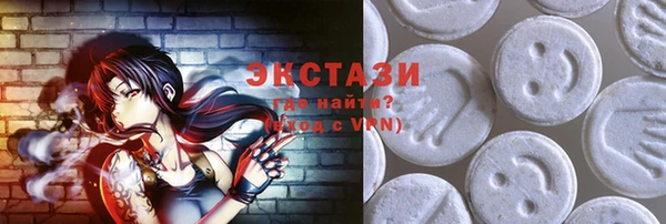 индика Верхний Тагил