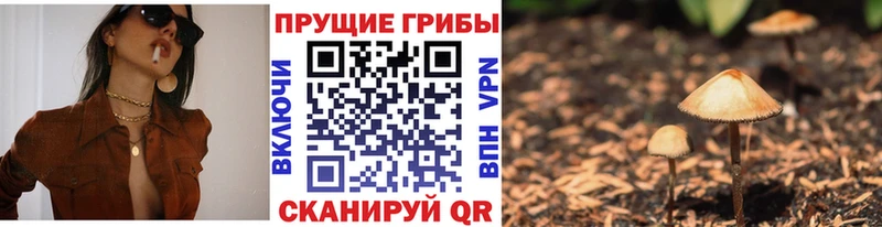 Купить где  Невьянск  Галлюциногенные грибы Magic Shrooms 